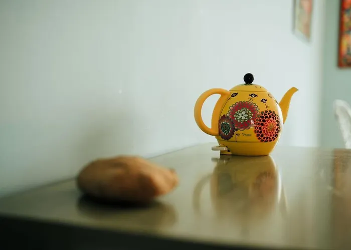 公寓 Sea View Penthouse With Terrace 玛里纳吉尔萨罗